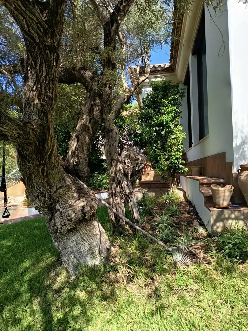 Villa avec piscine à vendre à Periurbano Oeste - Sierra, imagen 33