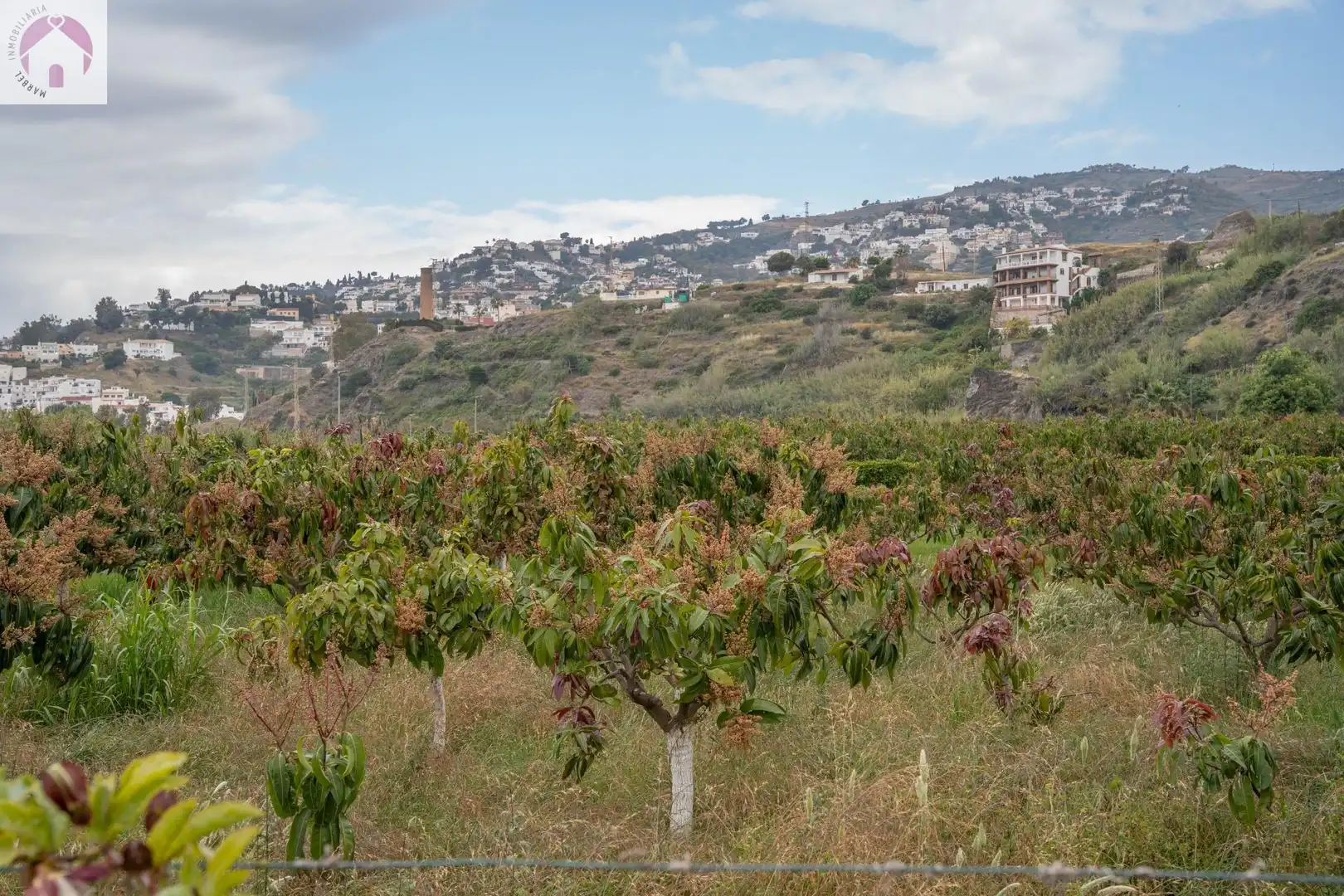 Residential for sale in CARRETERA MALAGA (CAL), 74, La Caleta - La Guardia