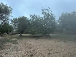 Terreny rústic en venda a San Rafael del Río, imagen 11