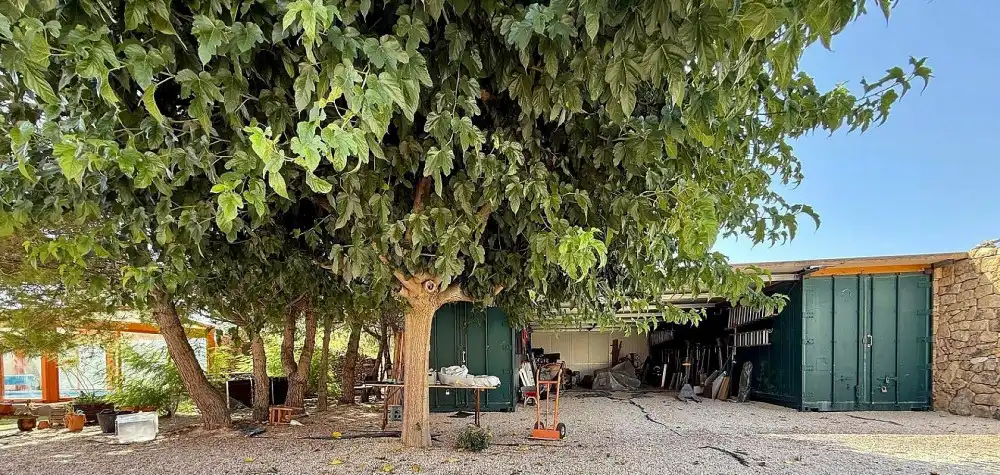 Casa en venda a N/A, imagen 39