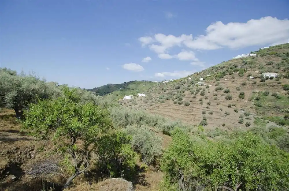 Casa en venta en Cómpeta, imagen 3