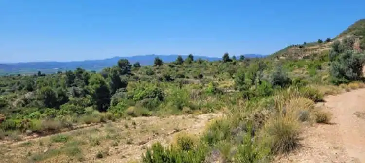 Terrain rustique à vendre à Paraje Sagriguelas, imagen 6