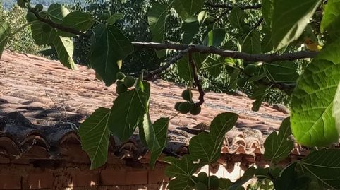 TERRENO EN CANDELEDA, immagine 4