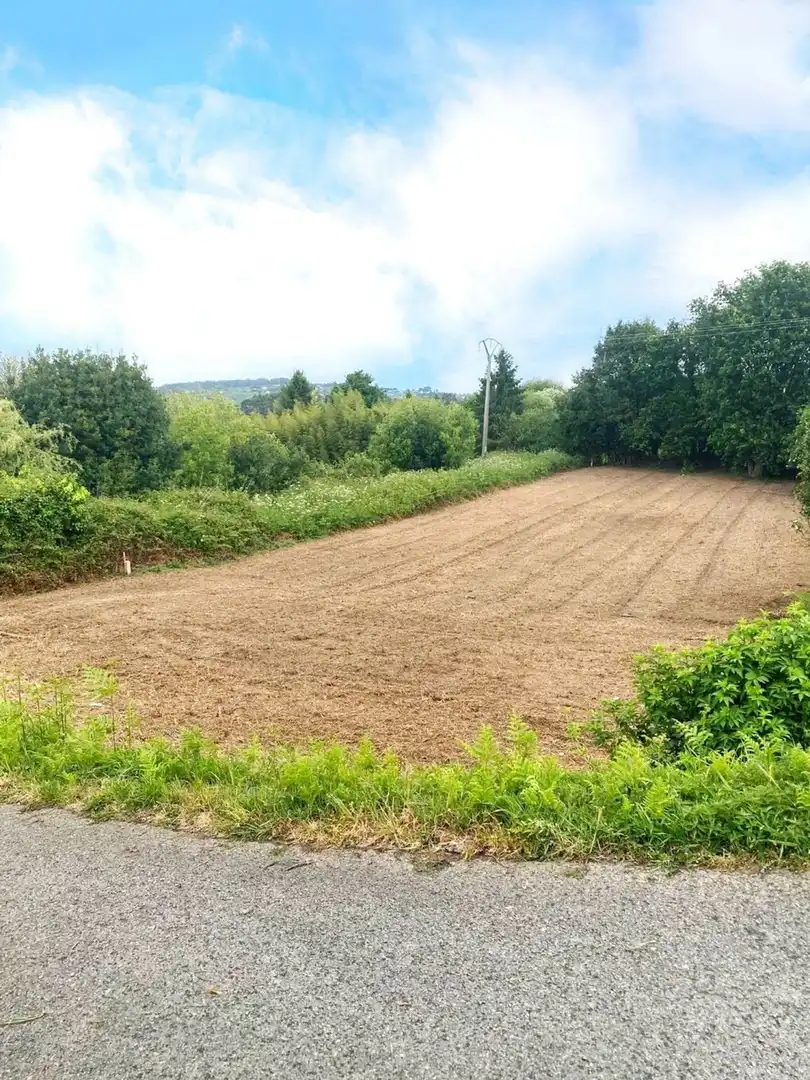 Rural land for sale in Calle Garduña, imagen 2