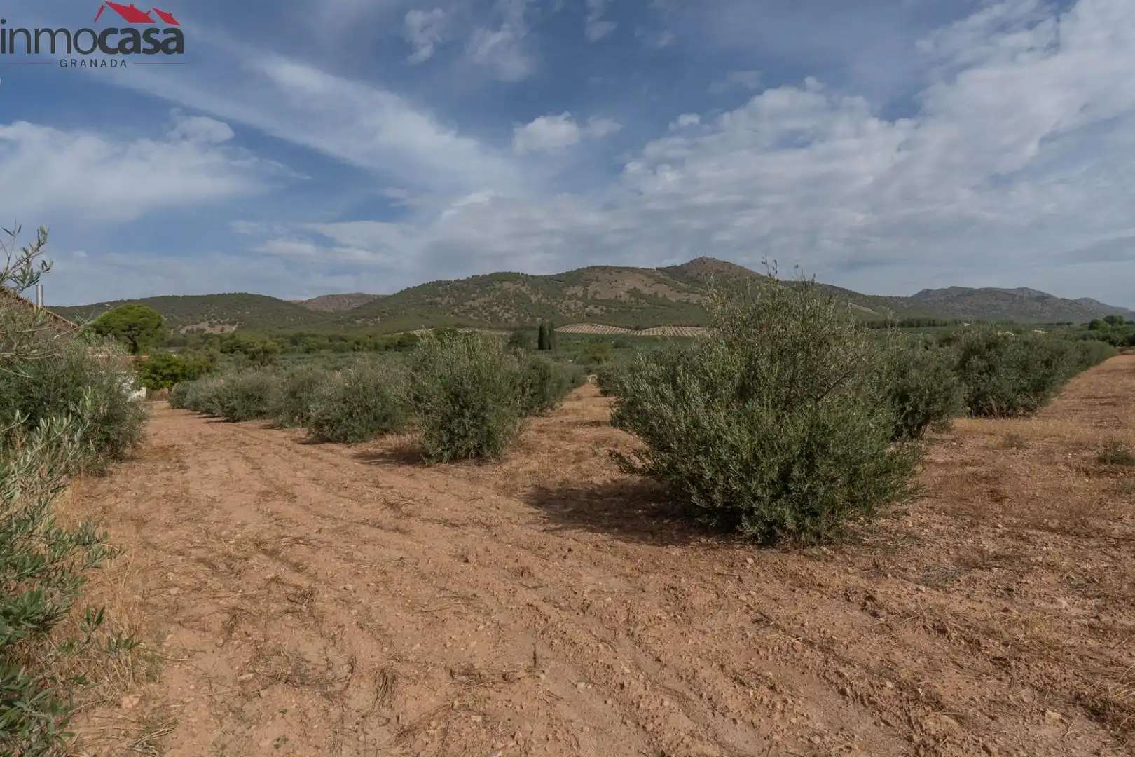 Casa o chalet en venta en Huéscar