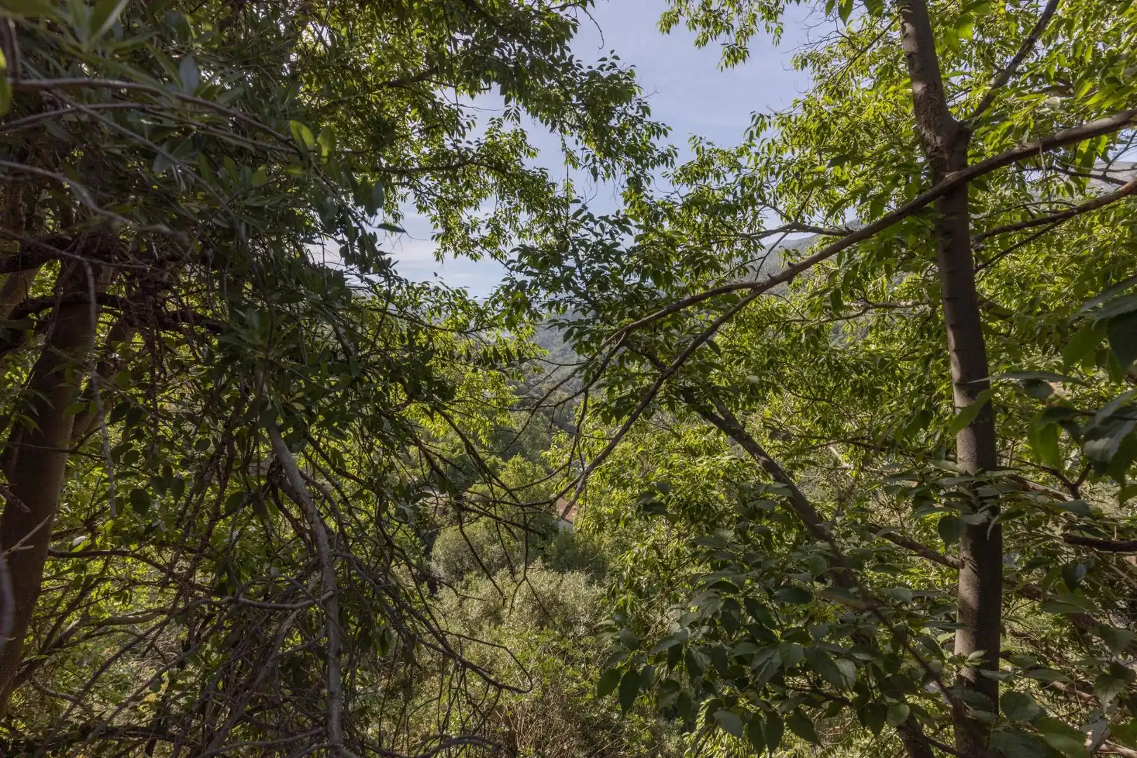 Lands and plots for sale in Carretera de Maitena, imagen 5