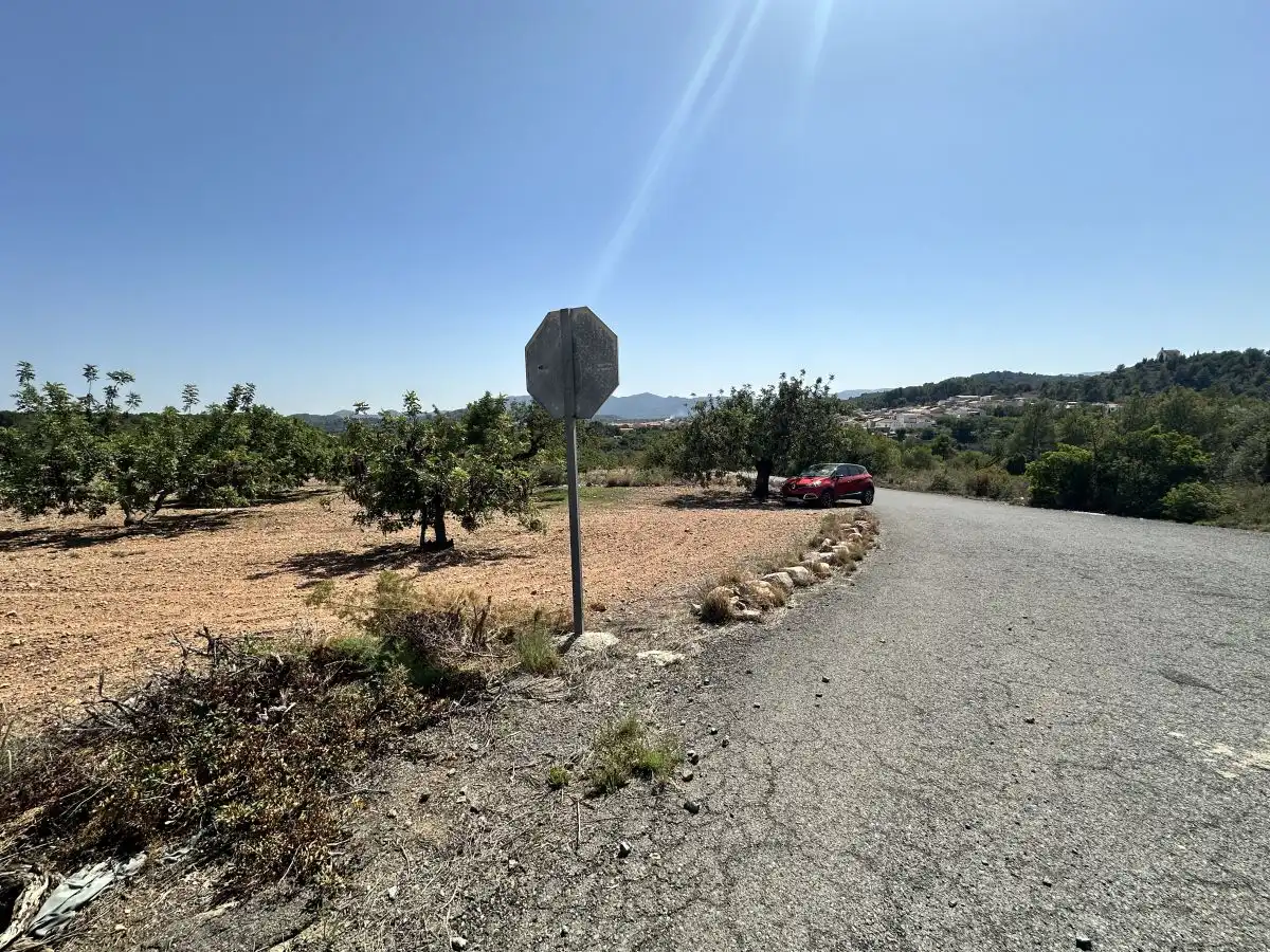 Terreno residencial en venta en Alfara de la Baronia, imagen 10