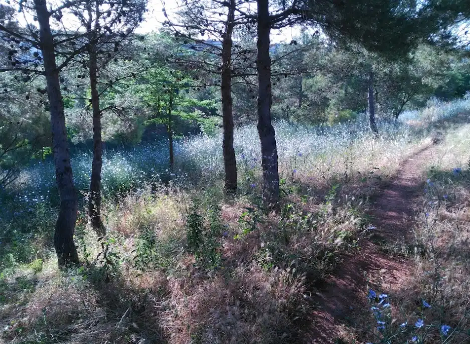 Wohnung zum Verkauf in Creu Alta - Puiggener