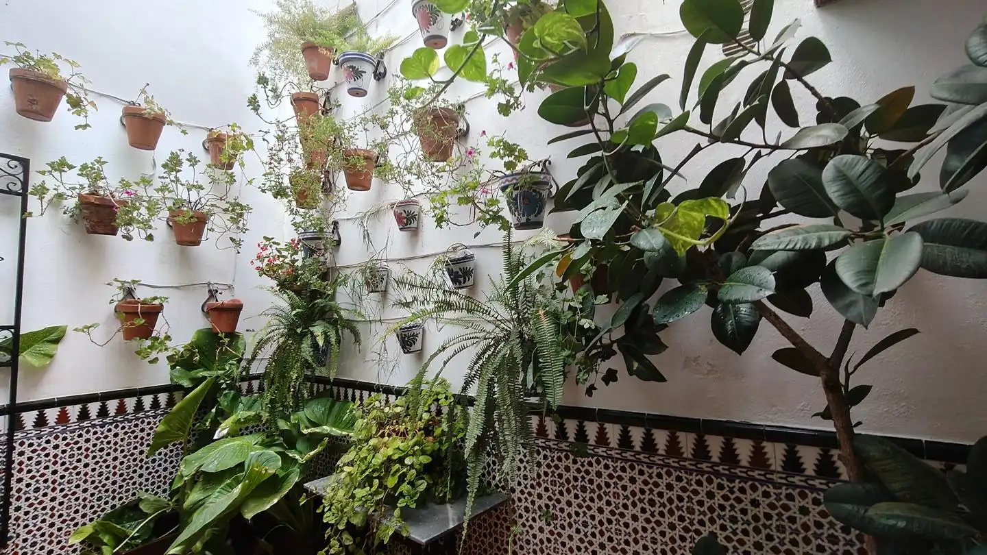 Garten von Dachboden zur Miete in Córdoba mit Klimaanlage, Terrasse und Möbliert