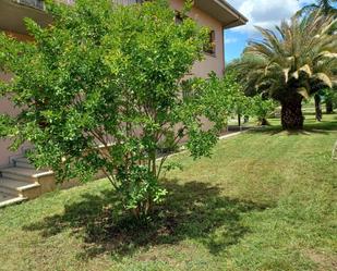 Jardí de Casa o xalet en venda en Argelaguer amb Terrassa