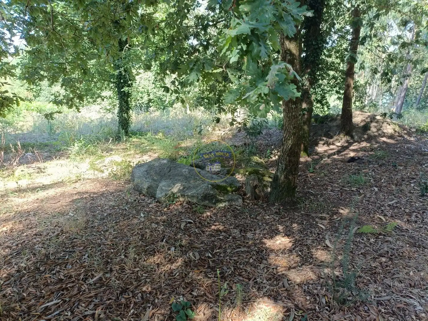 Casa o chalet en venta en Vigo  con Trastero, Amueblado y Balcón