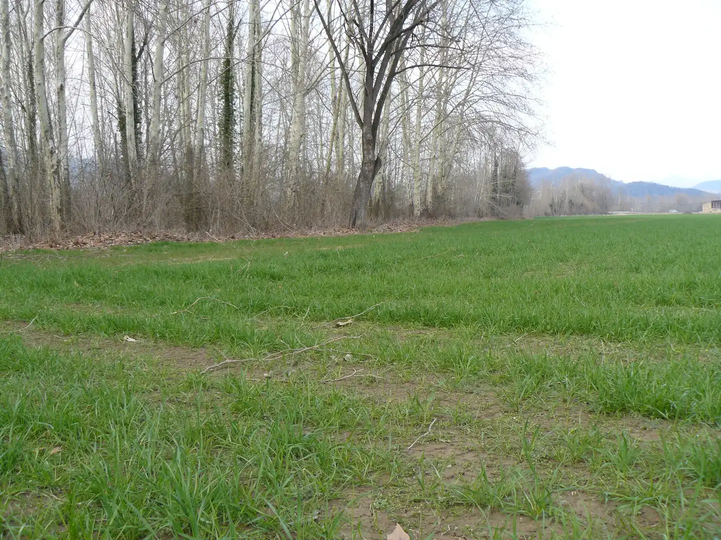 Finca rústica en venta en Les Preses