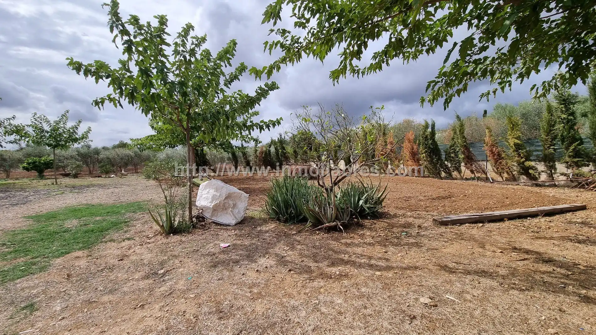 Country house for sale in Campanet, imagen 9