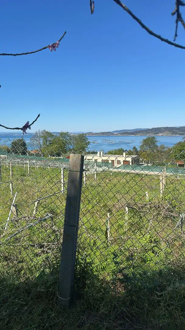 Land for sale in Estrada de Aldán, 50, Darbo
