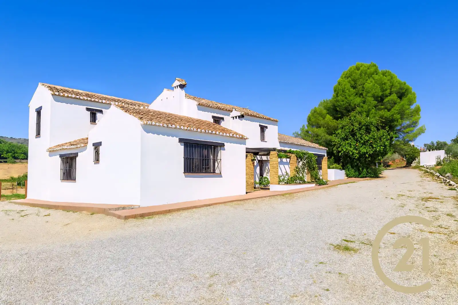 Vista exterior de Casa o chalet en venta en Ronda con Calefacción, Jardín privado y Terraza