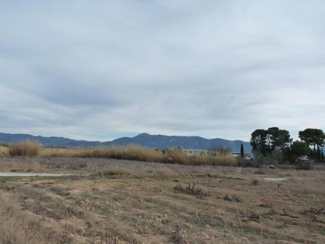 Terreno en Venta en Benissuera