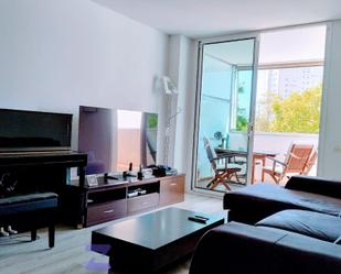 Sala d'estar de Pis de lloguer en  Barcelona Capital amb Aire condicionat, Jardí privat i Parquet
