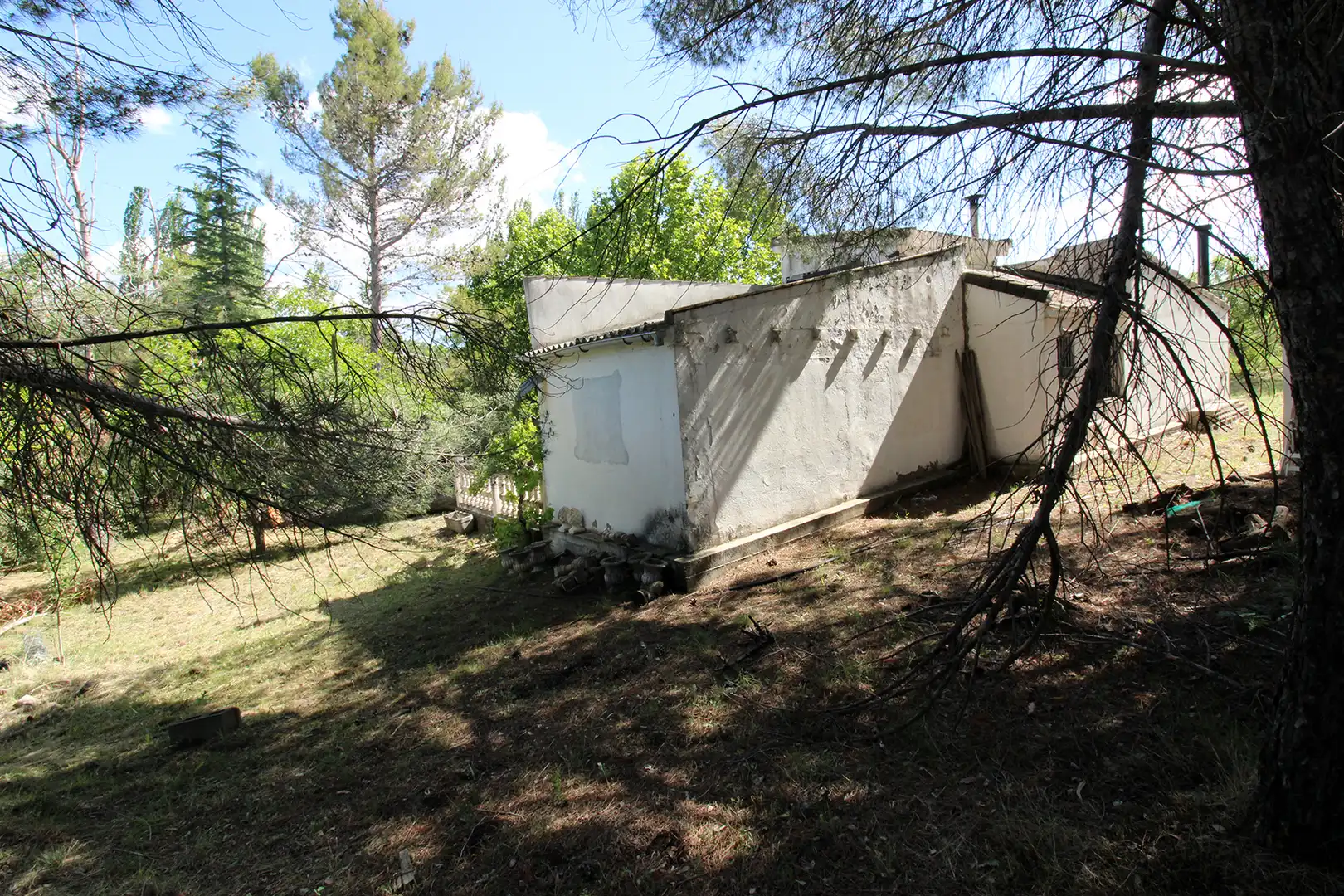 Land for sale in Torrelaguna