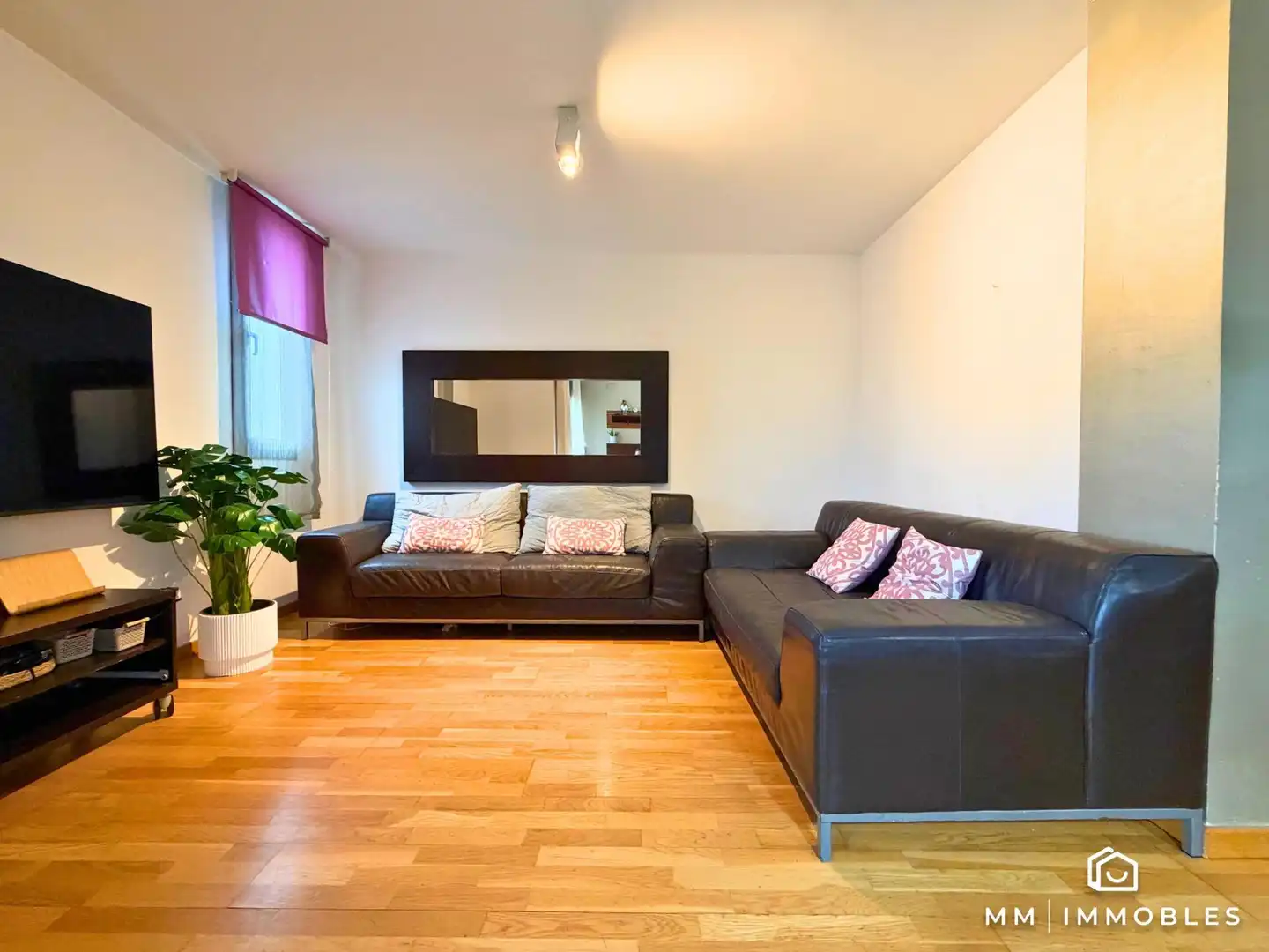 Sala de estar de Piso en venta en Les Franqueses del Vallès, Barcelona