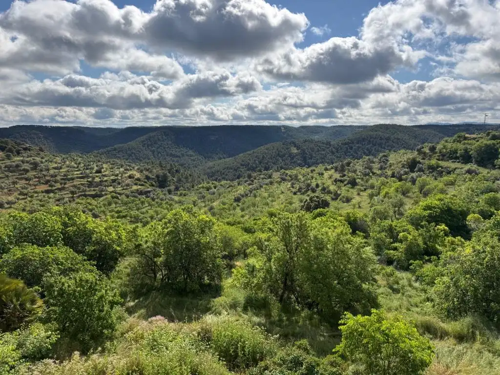 Casa o chalet en venta en Fórnoles con Jardín privado y Terraza