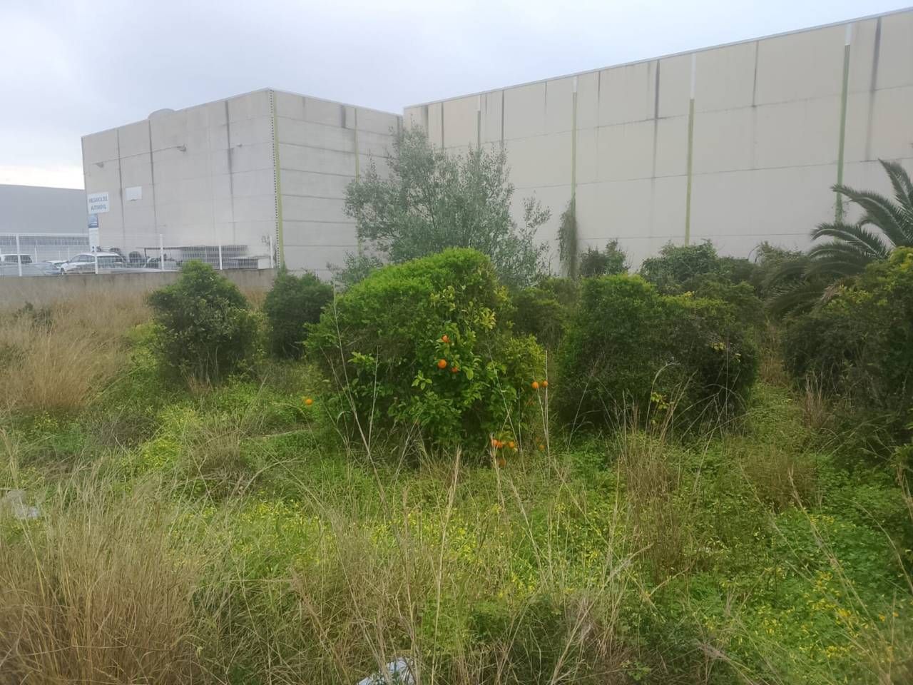 Terreno industrial en venta en L'Alqueria de la Comtessa