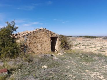 Terreny rústic en venda a Batea