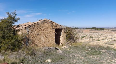 OPORTUNIDAD FINCA DE REGADIO EN BATEA CON CASETA A RESTAURAR