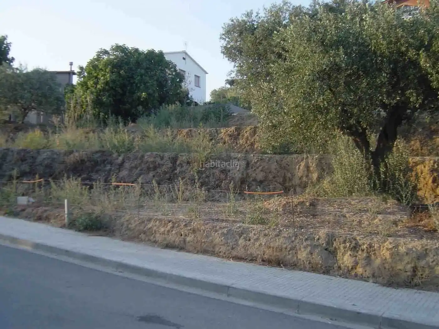 Terreny residencial en venda a Carrer l'Oliverar 39, imagen 3