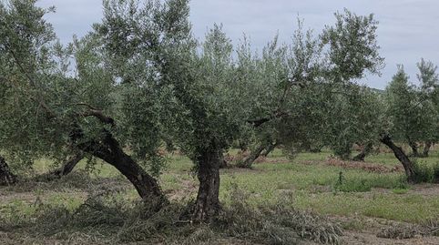 Photo 5 of Residential for sale in Pegalajar, Jaén