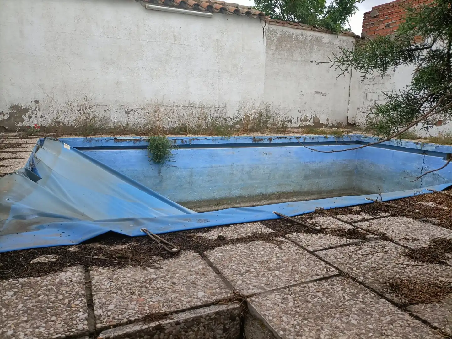 Piscina de Casa o chalet en venta en Mascaraque con Piscina