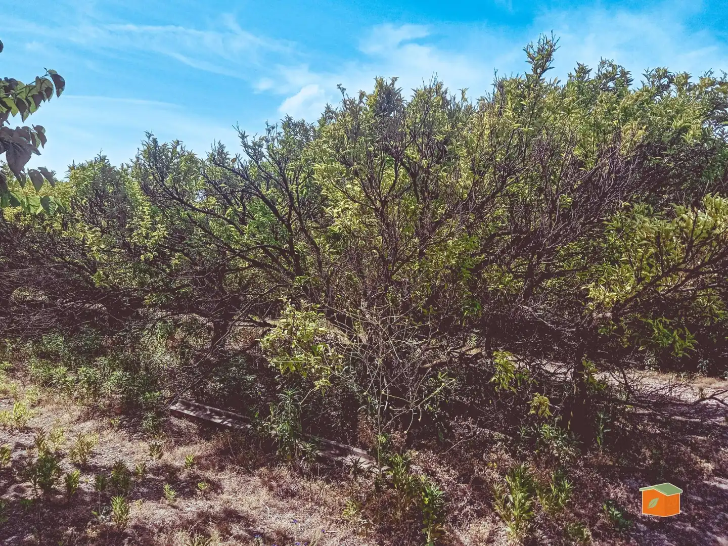 Terreno rustico in vendita a Santa Bàrbara, imagen 8