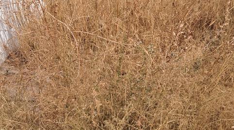 Foto 5 de Residencial en venda a Calle de Los Mártires Fuenlabrada, Centro, Madrid