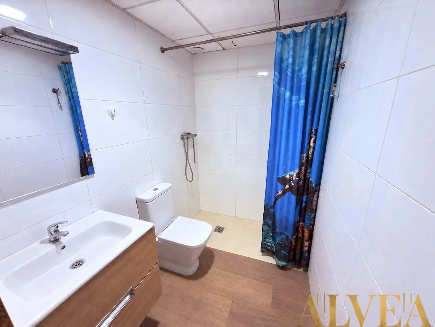 Casa en venda a Plaza MAYOR (VENTA OLIVAR), imagen 50