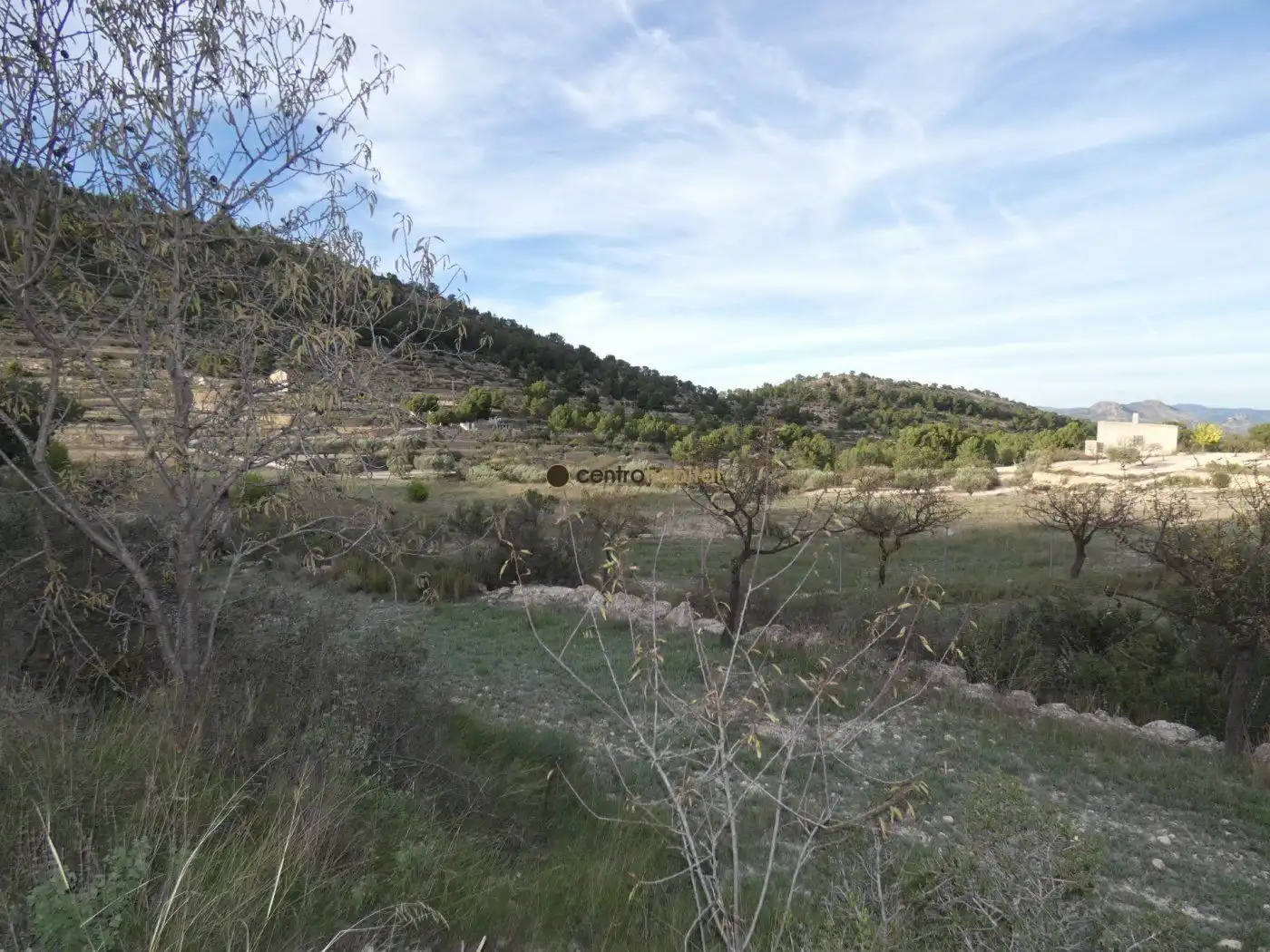 Residential land for sale in Monóvar  / Monòver, imagen 13