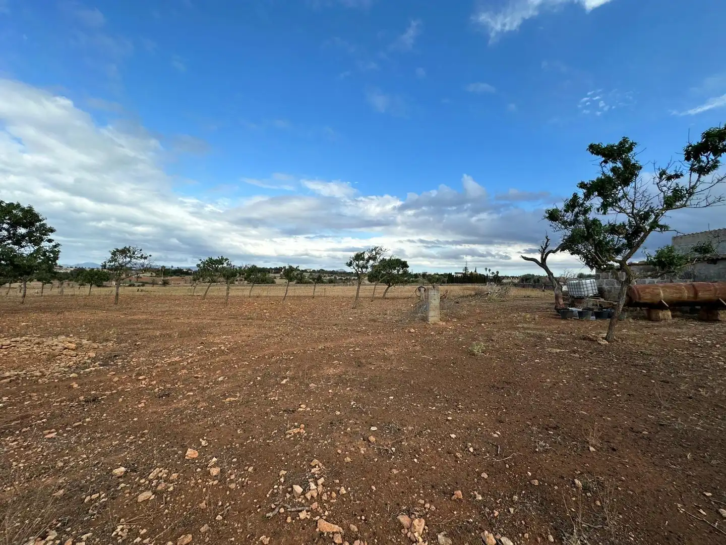 Terrain rustique à vendre à Muro, imagen 5