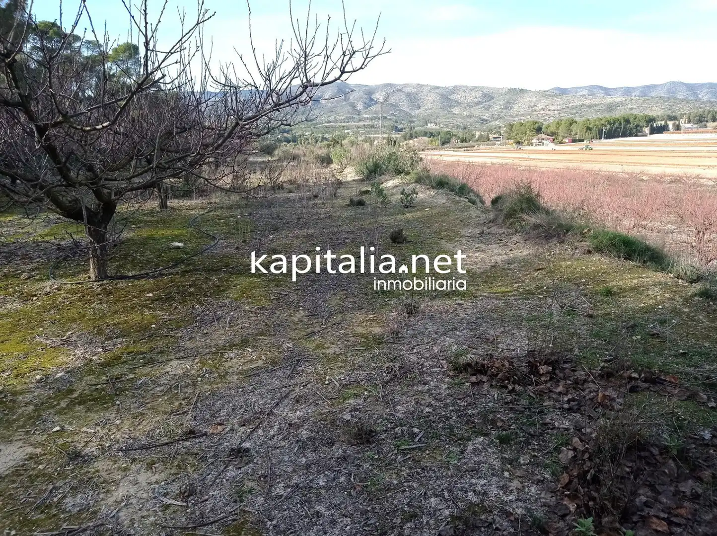 Terreno residenziale in vendita a Agullent, imagen 6