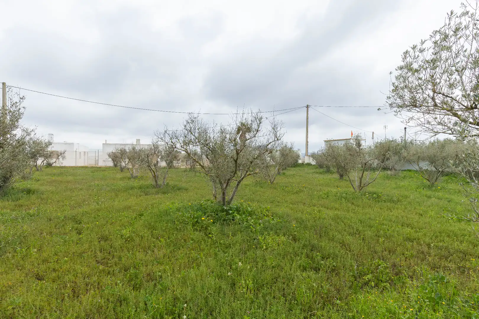 Casa o chalet en venta en Níjar con Terraza y Amueblado