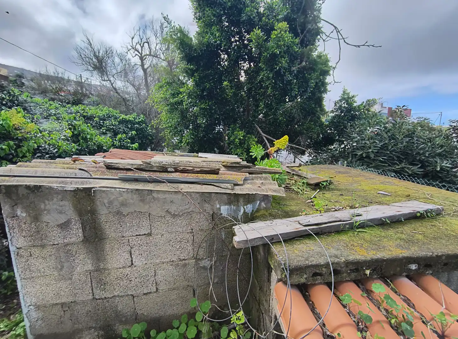 Garden of Houses for sale in La Orotava  with Private garden, Terrace and Storage room