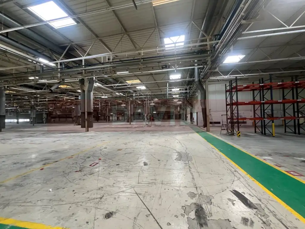 Industrial building for sale in Diseminados Poligon 39, imagen 3