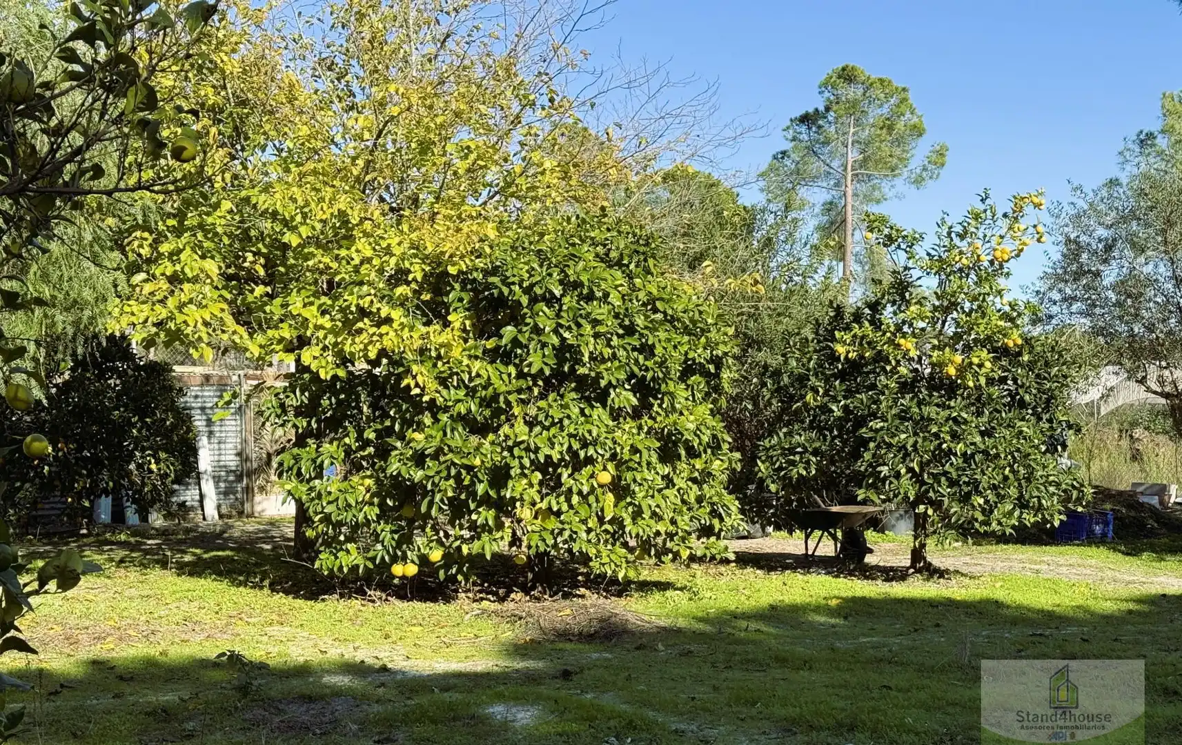 Jardín de Casa o chalet en venta en Bonares con Aire acondicionado, Calefacción y Terraza