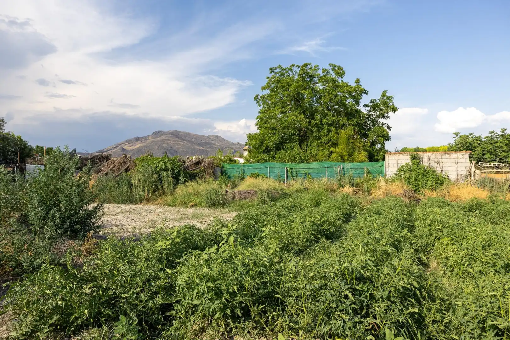 Maison avec piscine à vendre à Santa Fe, imagen 19