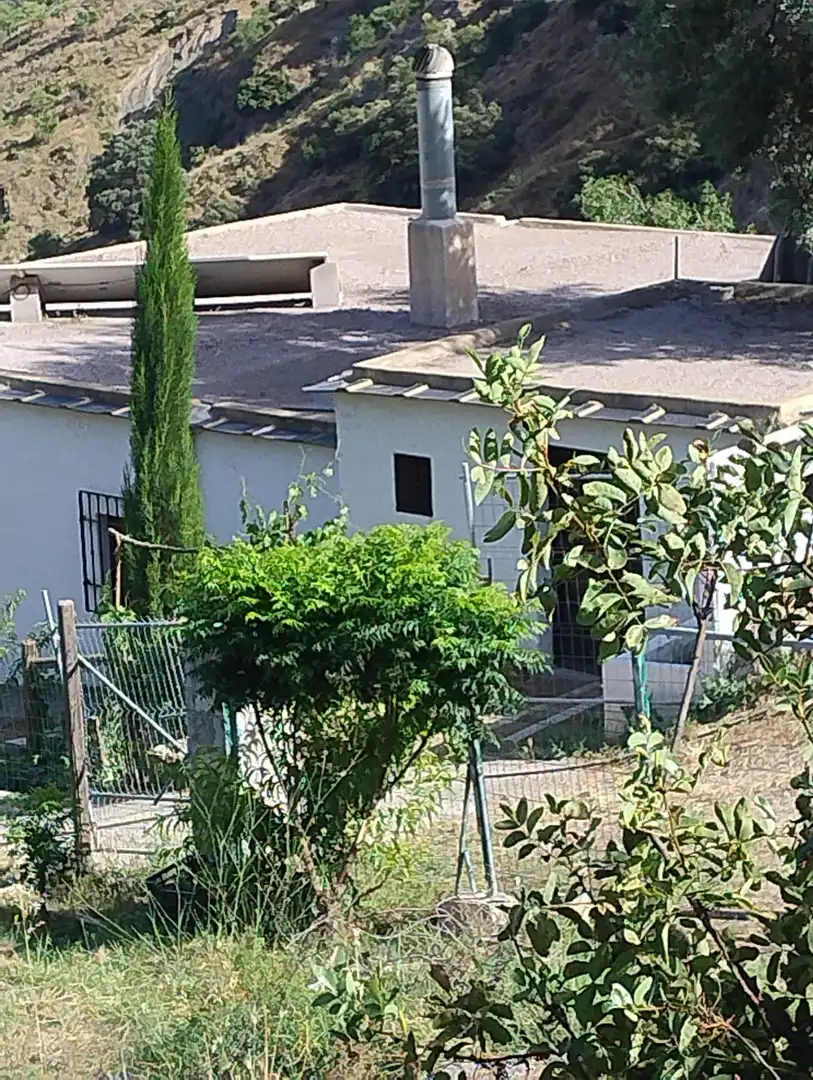 Exterior view of Houses for sale in Cástaras