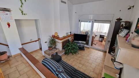 Foto 4 de Finca rústica en venta en Dr Robert (calle), Montmeló, Barcelona