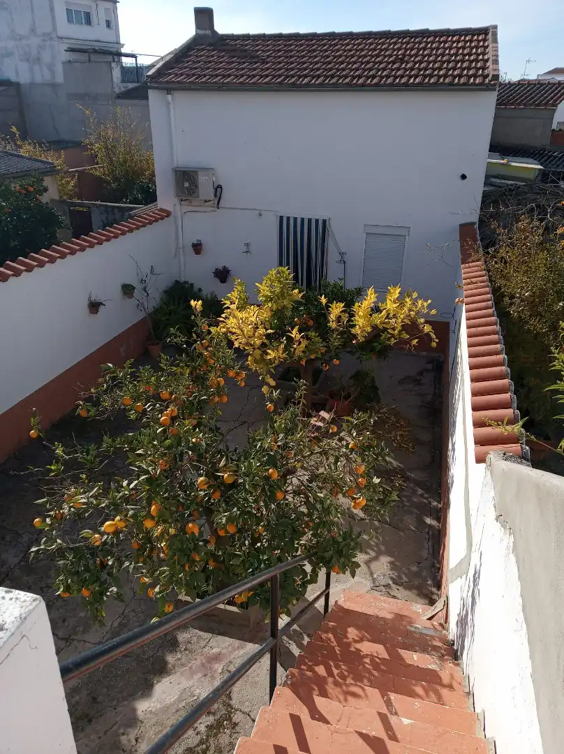 Garden of Houses for sale in Don Benito, Badajoz