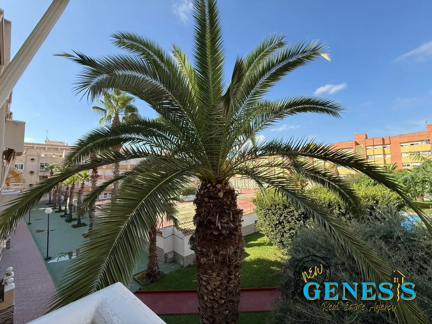 Appartement compact avec terrasse à vendre à Calle Patricio Zammit, imagen 13