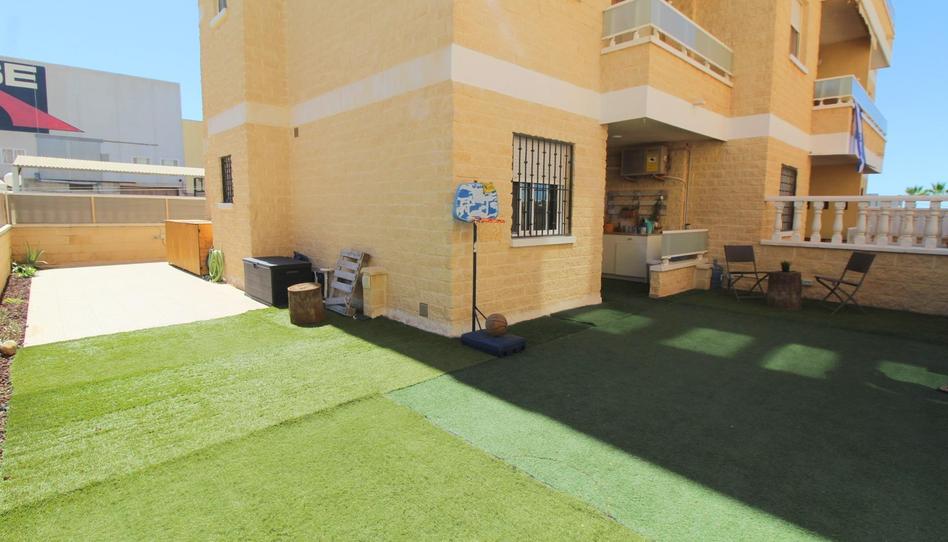 Photo 1 of Planta baja for sale in Calle Maite Pagazaurtundua Ruiz, 36, Parque Acuático - Sector 25, Alicante