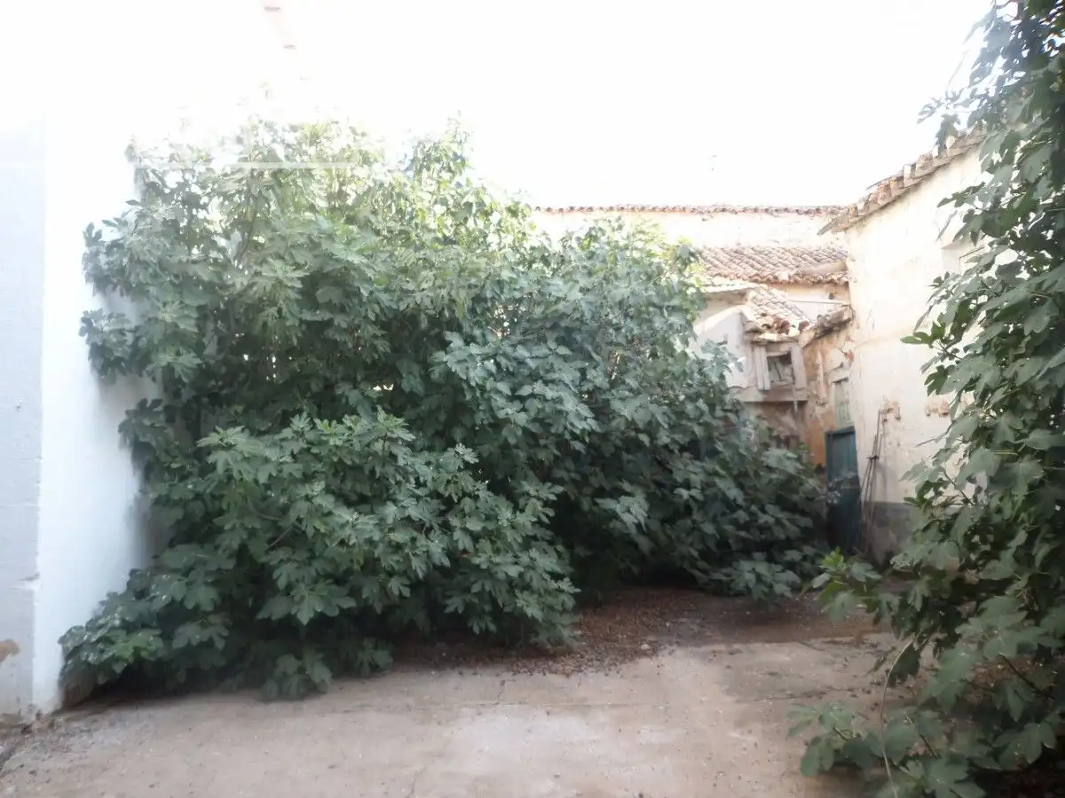 Casa en venta en Tomelloso, imagen 4