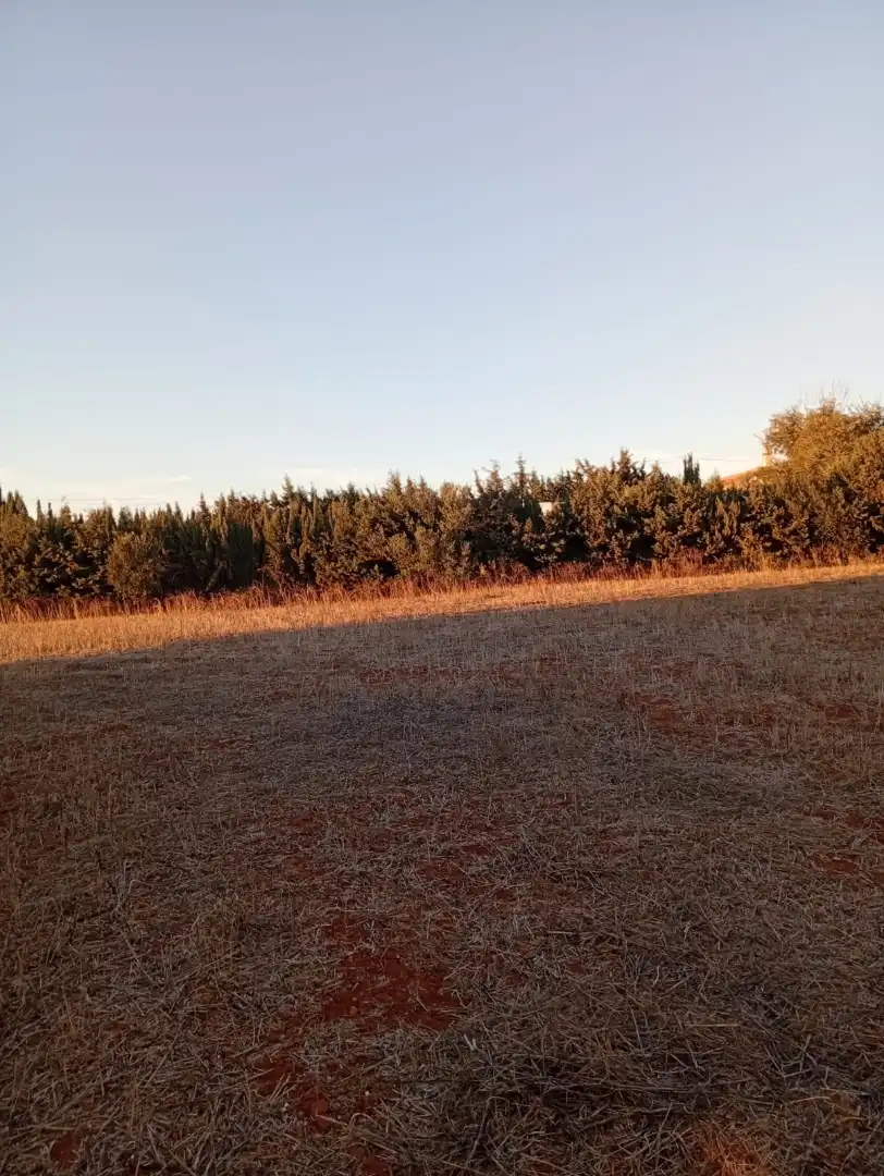Terreno en venta en Conil de la Frontera
