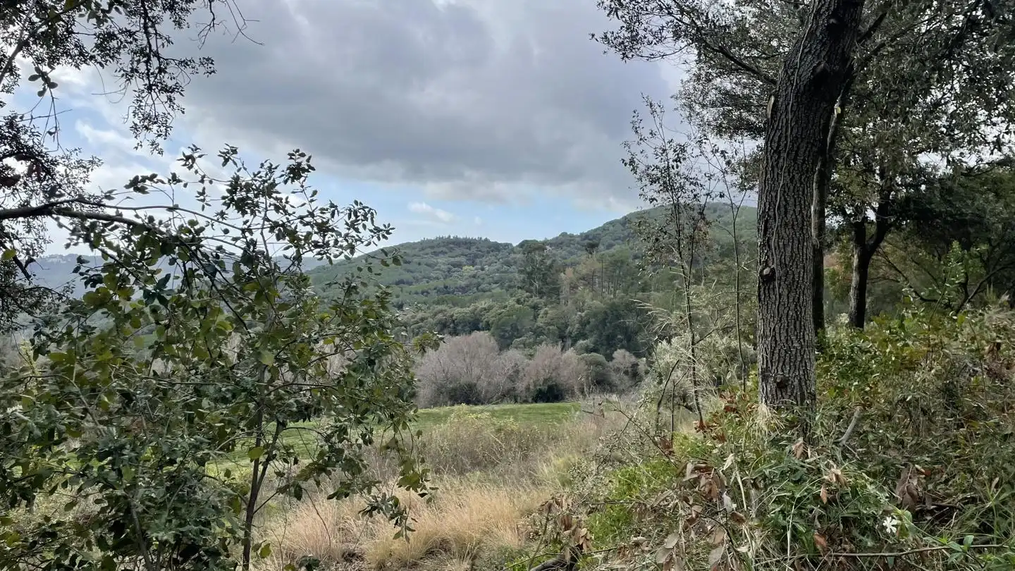 Country homes for sale in Camí de Montnegre, Sant Iscle de Vallalta