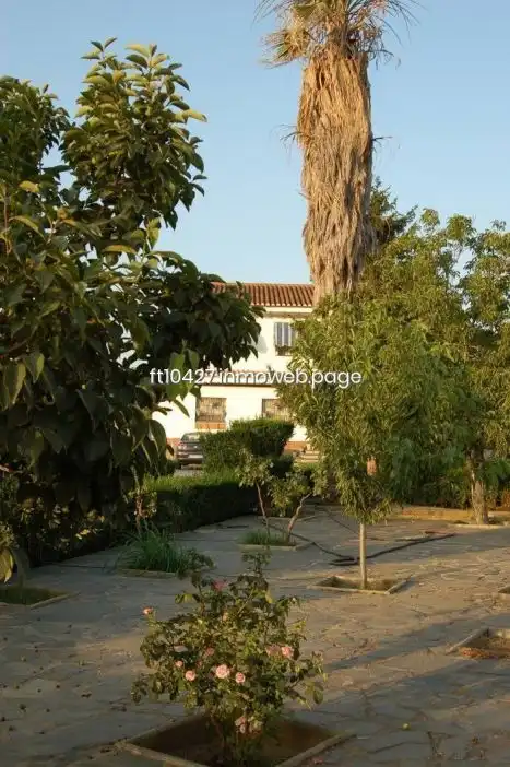 Villa avec piscine à vendre à Guadix, imagen 19